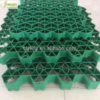 paving grids manufacturer plastic grass paver geocell